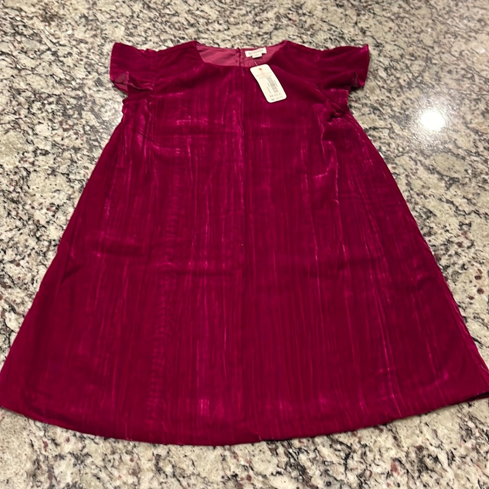 NWT. Gymboree magenta crushed velvet dress. Size 5